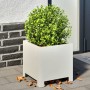 Jardineras 2 unidades acero blanco 30x30x30 cm de , Maceteros y jardineras - Ref: Foro24-851188, Precio: 59,63 €, Descuento: %