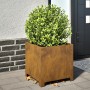 Jardinera de acero oxidado 40x40x40 cm de , Maceteros y jardineras - Ref: Foro24-851211, Precio: 51,45 €, Descuento: %