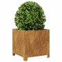 Jardinera de acero oxidado 40x40x40 cm de , Maceteros y jardineras - Ref: Foro24-851211, Precio: 51,45 €, Descuento: %