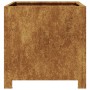 Jardinera de acero oxidado 40x40x40 cm de , Maceteros y jardineras - Ref: Foro24-851211, Precio: 51,45 €, Descuento: %