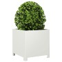 Jardineras 2 unidades acero blanco 40x40x40 cm de , Maceteros y jardineras - Ref: Foro24-851202, Precio: 83,62 €, Descuento: %