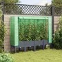 Arriate con cubierta invernadero aspecto ratán 160x40x140 cm de , Maceteros y jardineras - Ref: Foro24-4015835, Precio: 129,9...