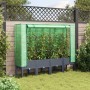 Arriate con cubierta invernadero aspecto ratán 160x40x140 cm de , Maceteros y jardineras - Ref: Foro24-4015835, Precio: 129,4...