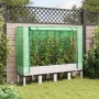 Arriate con cubierta invernadero aspecto ratán 160x40x140 cm de , Maceteros y jardineras - Ref: Foro24-4015849, Precio: 110,6...