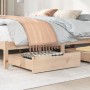 Cajones debajo de cama con ruedas 2 uds madera maciza de pino de , Cajones de almacenaje doméstico - Ref: Foro24-850935, Prec...