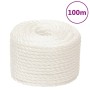 Cuerda de trabajo polipropileno blanco 20 mm 100 m de , Sogas y cuerdas metálicas - Ref: Foro24-153070, Precio: 140,00 €, Des...