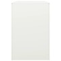 Leñero de acero blanco 100x40x60 cm de , Bolsas y soportes de leña - Ref: Foro24-850983, Precio: 101,22 €, Descuento: %