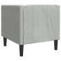 Sillón Chesterfield de terciopelo gris claro de , Sofás - Ref: Foro24-372673, Precio: 134,39 €, Descuento: %