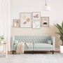 Sofá Chesterfield 2 plazas con cojines terciopelo gris claro de , Sofás - Ref: Foro24-372683, Precio: 257,19 €, Descuento: %