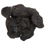 Rocas volcánicas negras 10 kg 10-30 cm de , Decoración de acuarios - Ref: Foro24-3217188, Precio: 39,51 €, Descuento: %