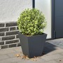 Jardinera hexagonal acero antracita 30x30x30 cm de , Maceteros y jardineras - Ref: Foro24-851042, Precio: 29,54 €, Descuento: %