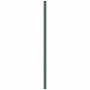 Membrana de malezas PP verde 4x5 m de , Mallas antihierbas - Ref: Foro24-4005269, Precio: 24,76 €, Descuento: %