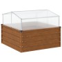 Jardinera con invernadero acero oxidado de , Maceteros y jardineras - Ref: Foro24-4008962, Precio: 109,51 €, Descuento: %