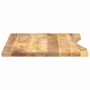 Tablero escritorio con curva madera mango rugosa 100x60x2,5 cm de , Tableros para mesas - Ref: Foro24-370201, Precio: 73,62 €...