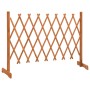 Valla de jardín enrejada madera maciza abeto naranja 150x80 cm de vidaXL, Paneles de vallas - Ref: Foro24-314826, Precio: 31,...