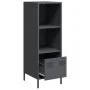 Aparador acero gris antracita 35x39x103,5 cm de , Aparadores - Ref: Foro24-851378, Precio: 74,26 €, Descuento: %