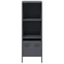 Aparador acero gris antracita 35x39x103,5 cm de , Aparadores - Ref: Foro24-851378, Precio: 74,26 €, Descuento: %