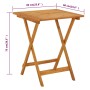 Mesa plegable de jardín de madera maciza de acacia 60x60x75 cm de vidaXL, Mesas de jardín - Ref: Foro24-313595, Precio: 68,27...