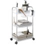 Carro de almacenamiento 3 niveles transparente 37x28x68 cm de , Carretillas de carga - Ref: Foro24-4012378, Precio: 31,97 €, ...