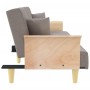 Sofá cama con reposabrazos tela gris taupe de , Sofás - Ref: Foro24-351892, Precio: 299,09 €, Descuento: %