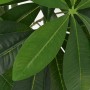 Árbol de la fortuna artificial con macetero 85 cm verde de , Flora artificial - Ref: Foro24-244448, Precio: 42,33 €, Descuent...