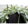 Capi Jardinera cuadrada Urban Smooth negra 30x30x30 cm KBL902 de , Maceteros y jardineras - Ref: Foro24-424341, Precio: 54,70...