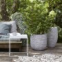 Capi Jarrón Nature Rib elegante Deluxe marfil 40x60 cm KOFI1131 de , Maceteros y jardineras - Ref: Foro24-424250, Precio: 118...