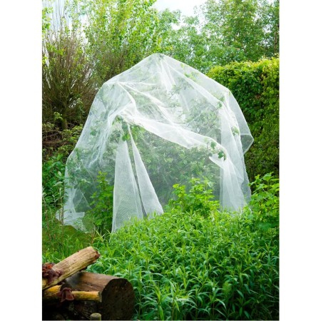 Nature Red anti insectos contra polillas de manzazno 6030450 de , Accesorios de jardinería - Ref: Foro24-403682, Precio: 46,2...