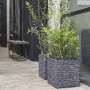 Capi Macetero Nature Row cuadrado gris antracita 30x30 cm KRWZ902 de , Maceteros y jardineras - Ref: Foro24-424259, Precio: 5...
