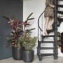 Capi Macetero Nature Rib negro 35x34 cm KBLR932 de , Maceteros y jardineras - Ref: Foro24-424233, Precio: 61,95 €, Descuento: %