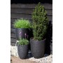 Capi Macetero Nature Rib negro 35x34 cm KBLR932 de , Maceteros y jardineras - Ref: Foro24-424233, Precio: 61,95 €, Descuento: %