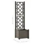 Jardinera con enrejado PP gris antracita 43x43x142 cm de vidaXL, Maceteros y jardineras - Ref: Foro24-313981, Precio: 81,66 €...