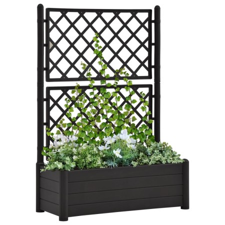 Jardinera con enrejado PP gris antracita 100x43x142 cm de vidaXL, Maceteros y jardineras - Ref: Foro24-313985, Precio: 112,35...