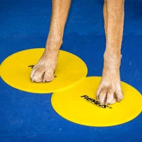 FitPAWS Accesorios de entrenamiento 4 unidades amarillo y azul de FitPAWS, Equipos para el ejercicio de mascotas - Ref: Foro2...