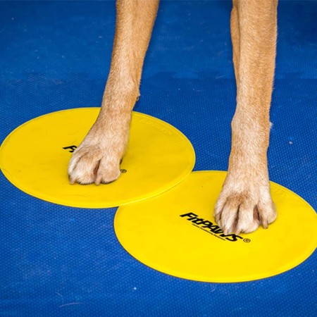 FitPAWS Accesorios de entrenamiento 4 unidades amarillo y azul de FitPAWS, Equipos para el ejercicio de mascotas - Ref: Foro2...