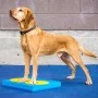 FitPAWS Accesorios de entrenamiento 4 unidades amarillo y azul by FitPAWS, Pet Exercise Equipment - Ref: Foro24-433829, Price...