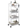 Carro de almacenamiento 4 niveles transparente 37x28x95 cm de , Carretillas de carga - Ref: Foro24-4012380, Precio: 37,11 €, ...