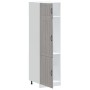 Mueble de cocina Lucca madera de gris sonoma de , Armarios de cocina - Ref: Foro24-853873, Precio: 208,23 €, Descuento: %