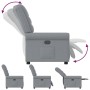 Sillón reclinable de tela gris claro de , Sillones - Ref: Foro24-4015636, Precio: 207,39 €, Descuento: %