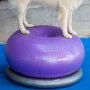 FitPAWS Soporte para donut gris 63 cm de FitPAWS, Equipos para el ejercicio de mascotas - Ref: Foro24-433821, Precio: 65,42 €...
