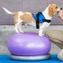 FitPAWS Soporte para donut gris 63 cm de FitPAWS, Equipos para el ejercicio de mascotas - Ref: Foro24-433821, Precio: 65,42 €...