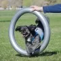 FitPAWS Soporte para donut gris 63 cm de FitPAWS, Equipos para el ejercicio de mascotas - Ref: Foro24-433821, Precio: 65,42 €...