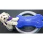 FitPAWS Soporte para donut gris 63 cm de FitPAWS, Equipos para el ejercicio de mascotas - Ref: Foro24-433821, Precio: 65,42 €...