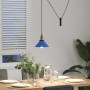 Lámpara colgante regulable en altura E27 oscuro brillante Ø22cm de , Lámparas - Ref: Foro24-4103444, Precio: 29,60 €, Descuen...