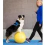 FitPAWS Pet Balance Platform Trax Peanut Yellow 40cm by FitPAWS, Pet Exercise Equipment - Ref: Foro24-433838, Price: 75,83 €,...