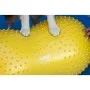 FitPAWS Pet Balance Platform Trax Peanut Yellow 40cm by FitPAWS, Pet Exercise Equipment - Ref: Foro24-433838, Price: 75,83 €,...