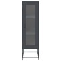 Aparador de acero laminado en frío antracita 36x39x123 cm de , Aparadores - Ref: Foro24-853394, Precio: 95,07 €, Descuento: %