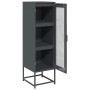 Aparador de acero laminado en frío antracita 36x39x123 cm de , Aparadores - Ref: Foro24-853394, Precio: 95,07 €, Descuento: %