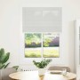 Estor Plisado gris claro 95x150 cm Tela Ancho 94,4 cm Poliéster de , Persianas y estores - Ref: Foro24-4015346, Precio: 18,63...