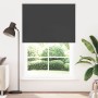Estor Enrollable Opaco negro 165x230 cm Tela Ancho 161,6 cm de , Persianas y estores - Ref: Foro24-4010959, Precio: 39,83 €, ...